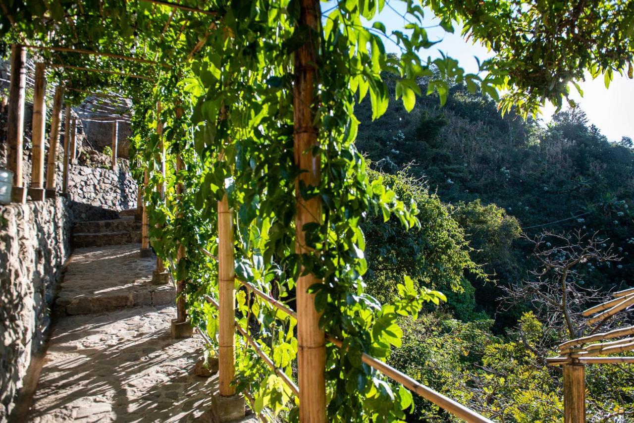 El Picnic Atitlan Hotel Tzununá Kültér fotó